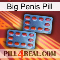 Big Penis Pill 05